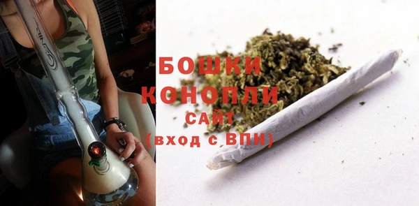 бошки Каменка