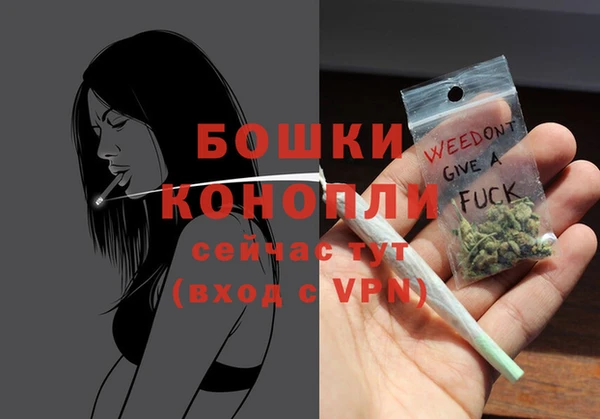 бошки Каменка