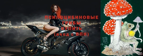 СК Каменск-Шахтинский